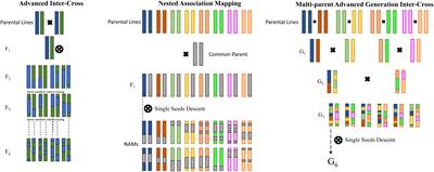 Revitalizing agriculture: next-generation genotyping and -omics technologies enabling molecular prediction of resilient traits in the Solanaceae family